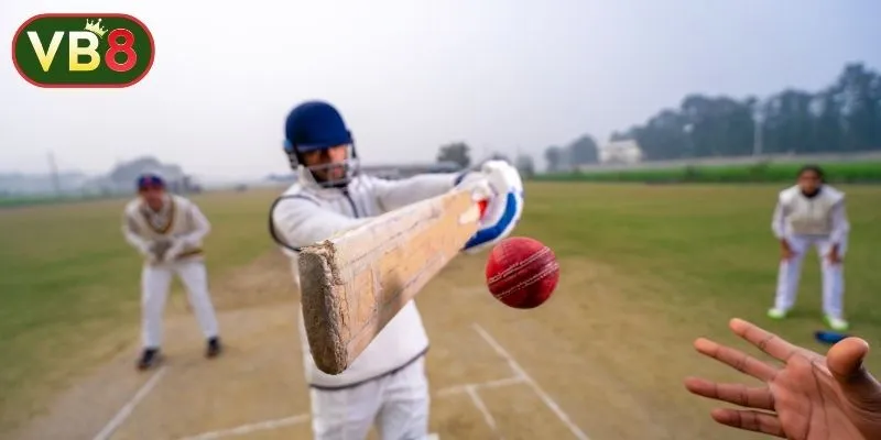 T20 Betting Strategy: শুরু করার সহজ গাইড ও টিপ