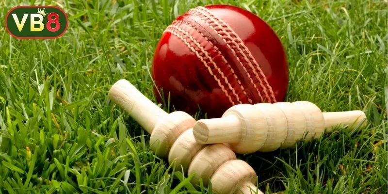 ম্যাচের আগে পিচ ও কন্ডিশন মূল্যায়ন
