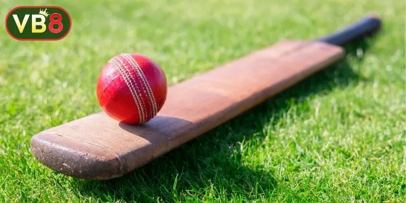 সফল বেটিংয়ের জন্য পিচ ও কন্ডিশন যাচাই